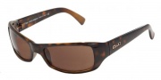 D&G DD 8027