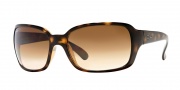 Ray-Ban RB4068 Sunglasses