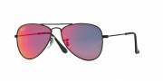 Ray-Ban Junior RJ9506S Sunglasses