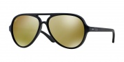 Ray-Ban RB4125 Sunglasses CATS 5000 