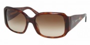 Bvlgari BV 8047 Sunglasses