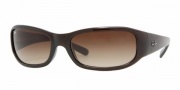 Ray Ban 4137