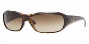 Ray Ban 4121