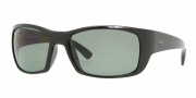 Ray-Ban RB4149 Sunglasses