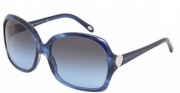 Tiffany & Co 4041 Sunglasses