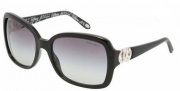 Tiffany & Co. TF4029 Sunglasses