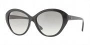 Ray-Ban RB4163 Sunglasses