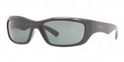 Ray-Ban RB4160 Sunglasses