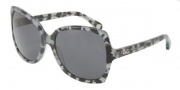 D&G DD3063 Sunglasses