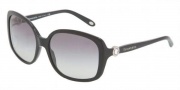 Tiffany & Co. TF4042G Sunglasses