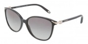 Tiffany & Co. TF4061G Sunglasses