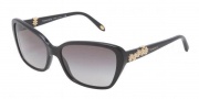Tiffany & Co. TF4069B Sunglasses