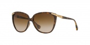 D&G DD8096 Sunglasses