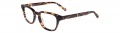 JOE Eyeglasses JOE 4019 Eyeglasses