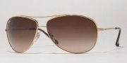 Ray-Ban RB3293 Sunglasses Sunglasses - 001/84 Arista Brown / Polarized Gradient