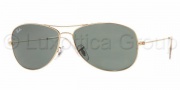 Ray-Ban 3362 (Cockpit) Sunglasses Sunglasses - 001 Arista/Crystal Green