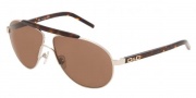 D&G DD 6027 Sunglasses - (221/73) Silver/Brown