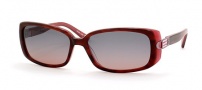Saks Fifth Ave 36/S Sunglasses - 0SU3 (RP) HAVANA ROSE (PLUM GRADIENT) 