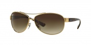 Ray-Ban RB3386 Sunglasses Sunglasses - (001-13) Arista/Brown Gradient