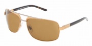 Dolce & Gabbana/ DG 2049 Sunglasses Sunglasses - (264-33) Gold With Part/ Gunmetal/Crystal Brown (Discontinued Color NLA)