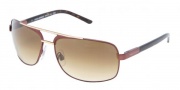 Dolce & Gabbana/ DG 2049 Sunglasses Sunglasses - (305-51) Brown Gold/Crystal Brown Gradient (Discontinued Color NLA)