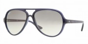Ray-Ban RB4125 Sunglasses CATS 5000  Sunglasses - 737 Dark Violet/Crystal Green