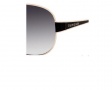 Kate Spade Darla Sunglasses - 0EC6 Gold Black (Y7 gray gradient lens) (Discontinued Color NLA)