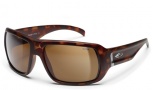 Smith Vanguard Sunglasses - Matte Tortoise Evolve / Polar Brown