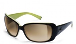 Smith Shoreline Sunglasses - Apple Tortoise / Brown Gradient