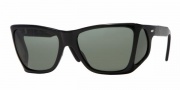 Persol PO 0009 Sunglasses Sunglasses - (95/58) Black / Crysrtal Green Polarized