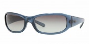 Ray-Ban 4137 Sunglasses Sunglasses - 601/8G Black / Gray Gradient