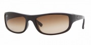 Ray-Ban RB4119 Sunglasses Sunglasses - 714/13 Dark Brown / Brown Gradient