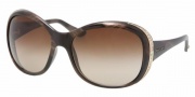 Bvlgari 8058B Sunglasses Sunglasses - 506913 Velvet Brown / Brown Gradient