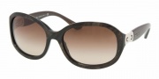 Bvlgari BV8064 Sunglasses Sunglasses - 506913 Velvet Brown / Brown Gradient