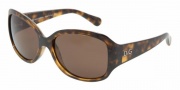 D&G DD8065 Sunglasses Sunglasses - 502/73 Havana / Brown