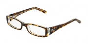 D&G DD1179 Eyeglasses Eyeglasses - 556 Havana on Transparent