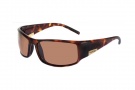 Bolle King Sunglasses Sunglasses - 10999 Dark Tortoise / Polarized A-14