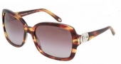 Tiffany & Co. TF4029 Sunglasses Sunglasses - 80803B Brown Vintage / Brown Gradient