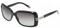 Tiffany & Co. TF4025B Sunglasses Sunglasses - 80013C Black / Gray Gradient