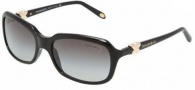 Tiffany & Co 4023 Sunglasses Sunglasses - 80013C Black / Gray Gradient