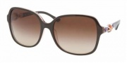 Bvlgari BV8069B Sunglasses Sunglasses - 511113 Top Cocoa on Transparent Brown