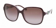 Bvlgari BV8069B Sunglasses Sunglasses - 51128H Top Eggplant on Transparent Violet