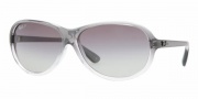 Ray-Ban RB4153 Sunglasses Sunglasses - 818/M3 DARK SMOKE-TRANSP.GRADIENT CRY.POLAR GRAY GRADIENT