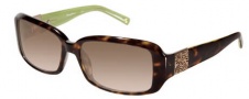 Tommy Bahama TB 528sa Sunglasses - Kiwi / Brown Gradient