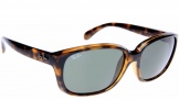 Ray-Ban RB4161 Sunglasses Sunglasses - 710/M2 Havana / Crystal Polarized Brown Gradient