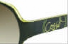 Coach S2030 Sunglasses Sunglasses - Olive 328