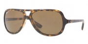 Ray-Ban RB4162 Sunglasses Sunglasses - 710/57 Light Havana / Crystal Brown Polarized
