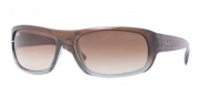 Ray-Ban RB4166 Sunglasses  Sunglasses - 824/51 Brown Gradient on Gray Crystal / Brown Gradient