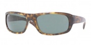Ray-Ban RB4166 Sunglasses  Sunglasses - 710 Light Havana / Crystal Green