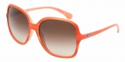 D&G DD8082 Sunglasses Sunglasses - 169113 Orange Watercolor / Brown Gradient